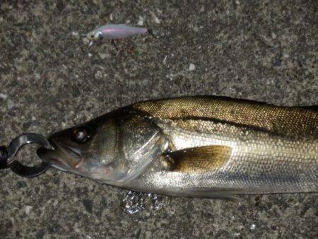 交通事故⁇再現氏は‼ゼロ~、、、